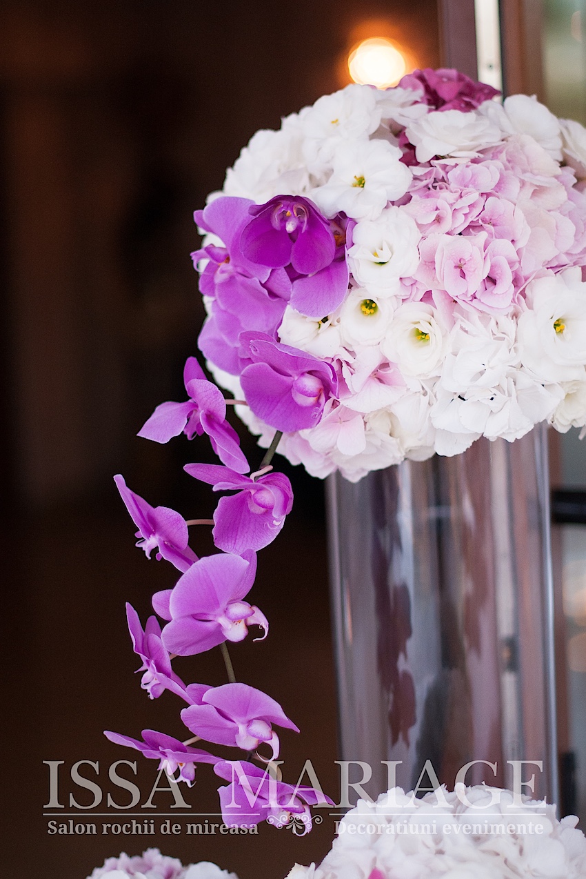 sala nunta bujoreni issa