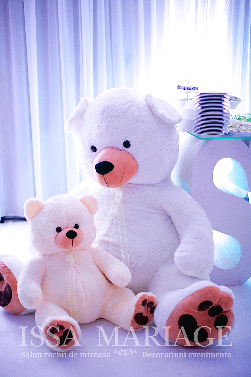 issa aranjamente nunta valcea bujoreni 2019